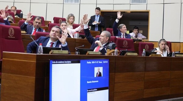 Ping-pong entre senadores y diputados sobre el proyecto de ley de Registro Unificado Nacional