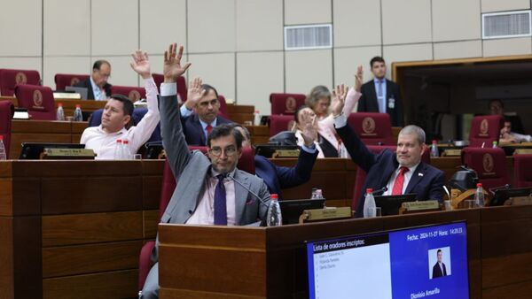 Senado acepta modificaciones de Diputados, pero se ratifica en dos artículos de ley que crea el RUN