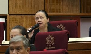Yolanda Paredes cuestiona a sus colegas: “En este Senado estamos en la joda permanente”