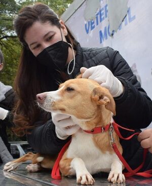 Peña firmó la ley “De Bienestar y Protección Animal Integral” - trece