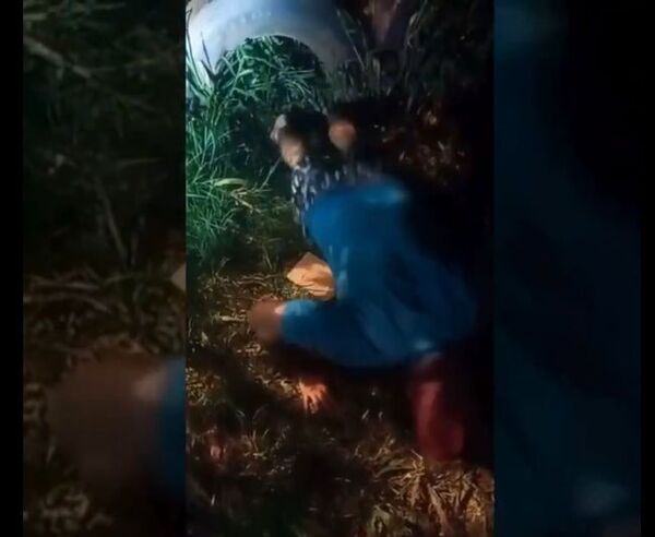 (Video) Lince “descuerea” a un adicto y le pide 50 lagartijas