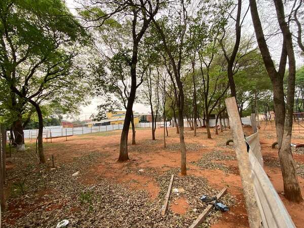 Pese al rechazo de vecinos, ratifican la construcción de una USF en una plaza de Luque - Nacionales - ABC Color