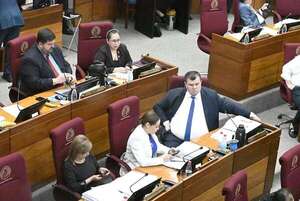 Senado regula la Terapia Ocupacional y cede calle pública a empresa - Política - ABC Color
