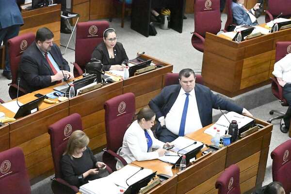 Senado regula la Terapia Ocupacional y cede calle pública a empresa - Política - ABC Color