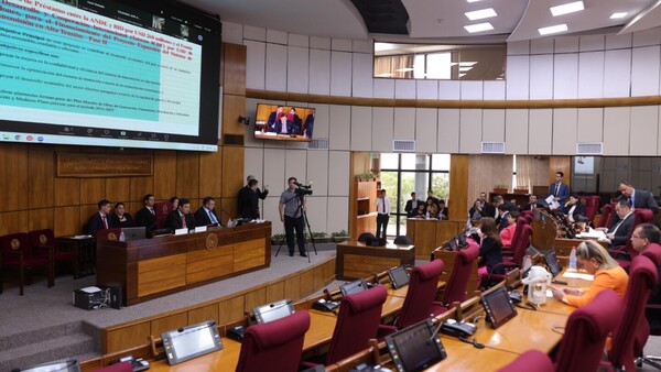 Senado trata PGN 2025 y prevé cambios