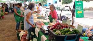 Productores de Misiones realizan una feria para mejorar sus ingresos - Nacionales - ABC Color