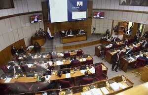 PGN 2025: Senado aprobó, en general, sobre la base del dictamen de la comisión bicameral - Economía - ABC Color