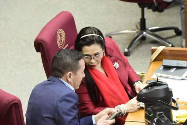 Honor Colorado votará a favor de “autoaumento” y así justificó “Bachi” - Política - ABC Color