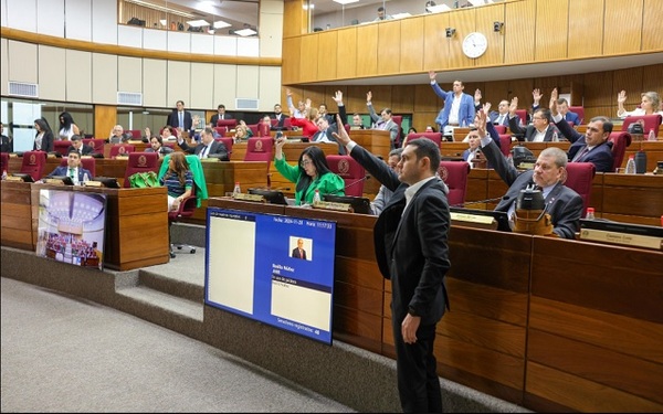 Senado aprueba PGN 2025 con privilegios para legisladores