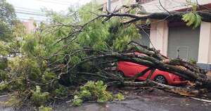 Diario HOY | Árboles caídos, semáforos descompuestos y caos: Asunción tras las lluvias