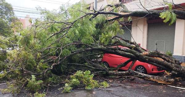Diario HOY | Árboles caídos, semáforos descompuestos y caos: Asunción tras las lluvias