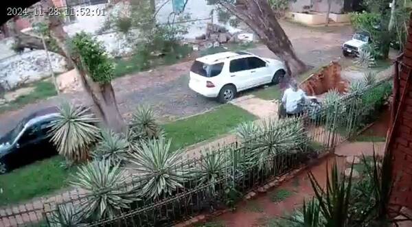 [VIDEO] ¡Nde tavyonde! Dos árboles se vinieron abajo y “aterrizaron” sobre unos autos estacionados