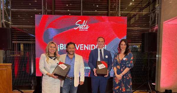 La Nación / 12 de febrero, primer vuelo Salta-Paraguay: “Símbolo de la voluntad de seguir creciendo juntos”