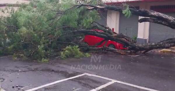 La Nación / Múltiples destrozos tras breve temporal en el área Central