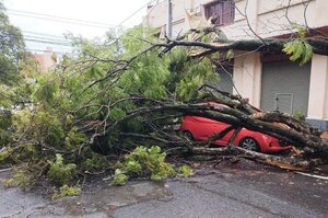 ANDE activó código rojo para reponer servicio cortado por el fuerte temporal