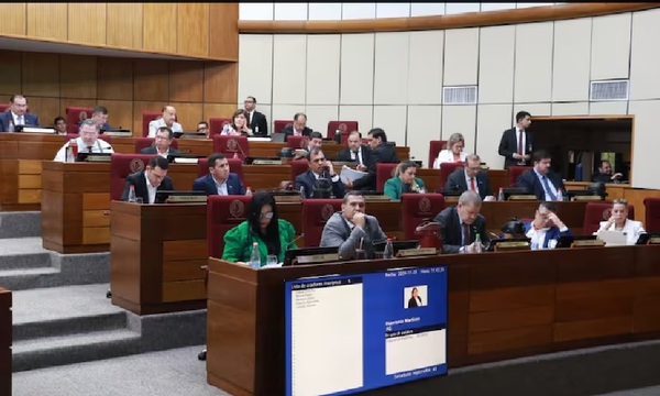 Senadora denuncia que ministros de la Corte Suprema perciben ingresos cercanos a G. 50 millones mensuales - OviedoPress