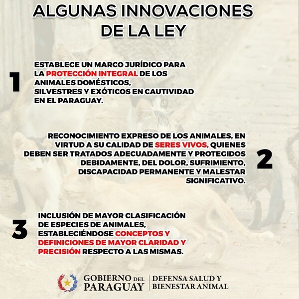 Resaltan innovaciones en la Ley de defensa animal • RADIO NACIONAL