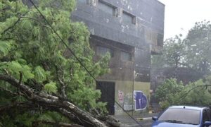La ANDE sacó todas sus cuadrillas a la calle buscando reponer la electricidad