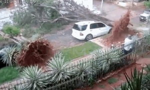 Árboles caídos, caos vehicular y daños materiales tras temporal en Asunción, Central y Cordillera - OviedoPress