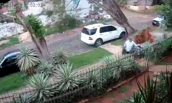 (VIDEO). Dos árboles cayeron juntos y un vendedor se salva de milagro