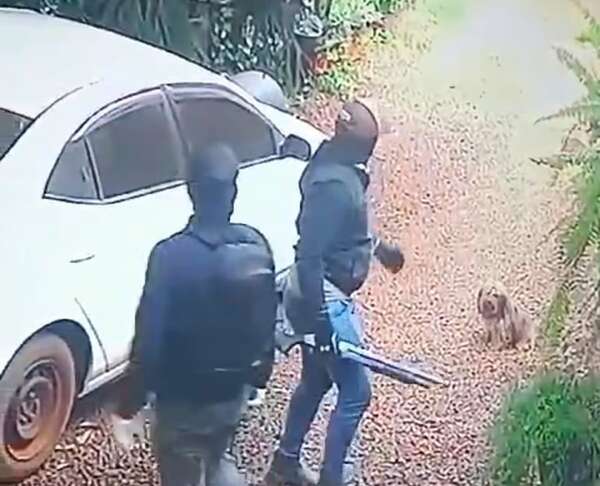Video: grupo armado asalta una verdulería en Hohenau y abandona vehículo robado - Policiales - ABC Color