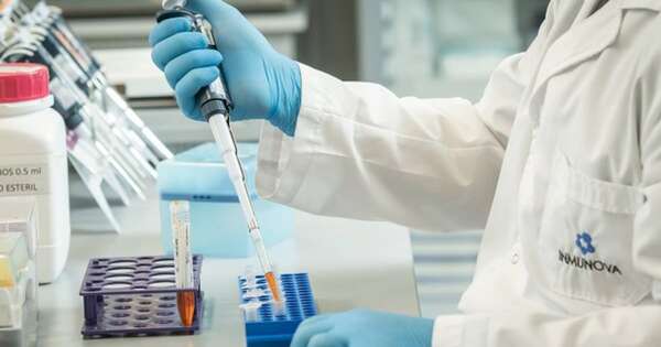 La Nación / La Organización Mundial de Salud Animal reconfirma a Paraguay como país libre de peste equina y PCB