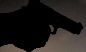 Ley de Control de Armas con dictamen a favor