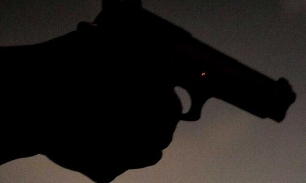 Ley de Control de Armas con dictamen a favor
