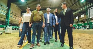 Narcos robaron una avioneta que terminó en una pista clandestina en Bolivia