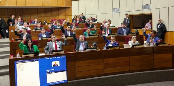 El Senado aprobó presupuesto del Estado para 2025. Hay aumento para legisladores y varias entidades