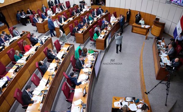 El PGN 2025 asciende a USD 17.595 millones: principales modificaciones del Senado