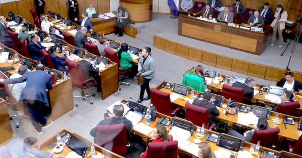 La Nación / Senado aprueba con modificaciones el PGN 2025 y regresa a Diputados