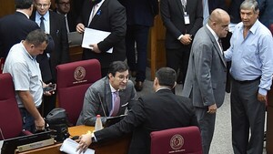 Senado aumenta PGN 2025 en más de USD 35 millones