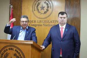 Comisión “garrote” retoma ataques desde la próxima semana - Política - ABC Color
