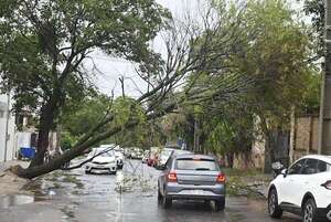 ANDE: tormenta de ayer dejó sin luz a unas 90.000 personas en Asunción y Área Metropolitana - Nacionales - ABC Color