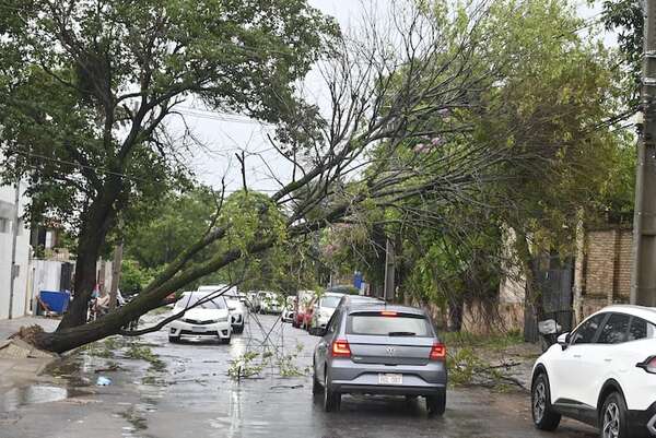 ANDE: tormenta de ayer dejó sin luz a unas 90.000 personas en Asunción y Área Metropolitana - Nacionales - ABC Color