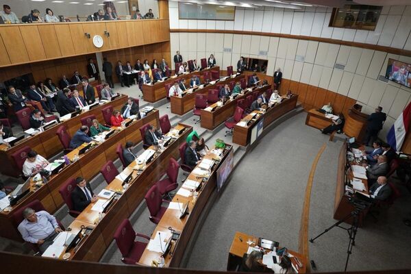 Senado aprueba presupuesto de 2025 que incluye un aumento de ingresos a legisladores
