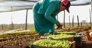 La Nación / FAO seleccionó a Paraguay para programa de acceso a tierra para mujeres rurales