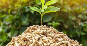 La Nación / Mientras protege su biodiversidad, economía local puede seguir creciendo sostenidamente