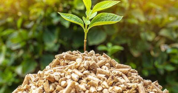 La Nación / Mientras protege su biodiversidad, economía local puede seguir creciendo sostenidamente