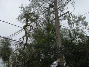 Fuertes vientos y lluvias causaron estragos: ANDE repara 61 alimentadores fuera de servicio · Radio Monumental 1080 AM