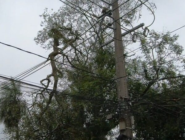Fuertes vientos y lluvias causaron estragos: ANDE repara 61 alimentadores fuera de servicio · Radio Monumental 1080 AM