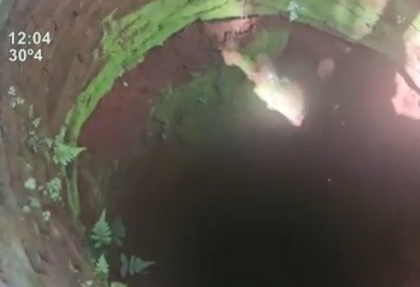Tragedia en Capiatá y Encarnación: dos niños pierden la vida tras caer en pozos - SNT