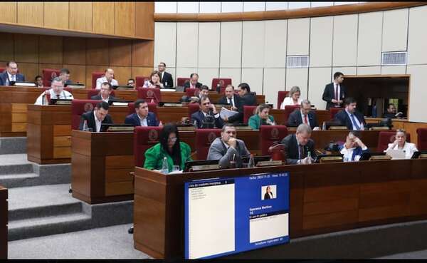 Persona con discapacidad afirma que subsidio no alcanza y critica el autoaumento de parlamentarios - Nacionales - ABC Color