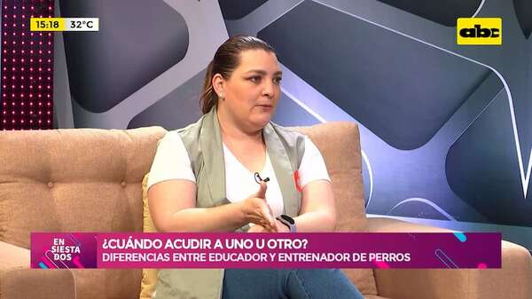 ¿Cuándo acudir a uno u otro? diferencias entre educador y entrenador de perros - Ensiestados - ABC Color