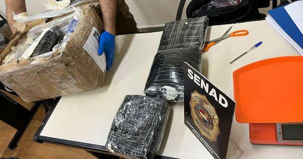La Nación / Senad frustró ingreso de marihuana “VIP” procedente de Portugal