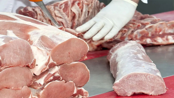 Cotización del cerdo sigue al alza ante mayor consumo interno y mejores exportaciones | Agronegocios | 5Días