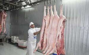 “La carne porcina dejó de ser un sustituto”, celebra presidente de productores de cerdos - Economía - ABC Color