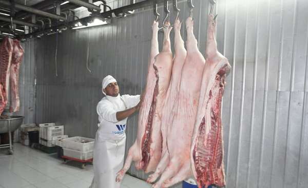 “La carne porcina dejó de ser un sustituto”, celebra presidente de productores de cerdos - Economía - ABC Color