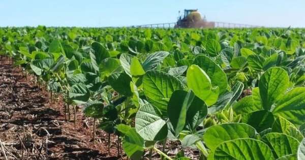 La Nación / Prevén leve déficit de lluvias en el campo
